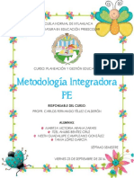 Metodología Integradora