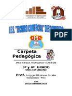 Carpeta Pedagogica