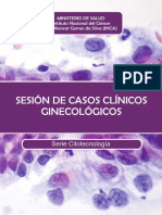 Sessao de Casos Da Rotina - Citologia Ginecologica Espanhol Completo PDF