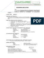 Resumen Ejecutivo - Ficha Tecnica - Sbi Paucartambuyoc