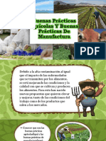 Buenas Prácticas Agrícolas Y Buenas Prácticas de Manufactura. (BPA-BPM)