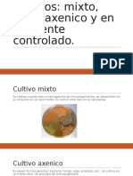 Cultivo Puro