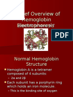 A Brief Overview of Hemoglobin Electrophoresis