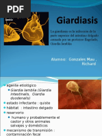 Giardiasis Richard