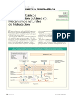 Conceptos Básicos de Hidratación Cutánea (I) - Mecanismos Naturales de Hidratación