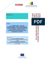 Competencia Judicial Internacional Unión Europea