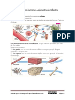 Tema 1 Ccnn-5 EP Adaptado