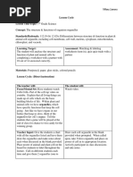 Plant and Animal Cells Lesson Plan