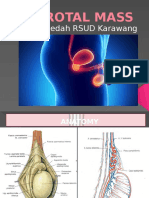 Scrotal Mass