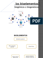 Trabajo de Biologia - Bioelementos