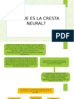 Cresta Neural