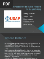 USAP Presentacion