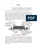 Bioremediación Por BIOPILAS