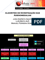 Updatemedicina2011 Algoritmo Investigacao Adenomegalias PDF