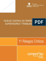 Riesgos Criticos Aplicados en DRT PDF