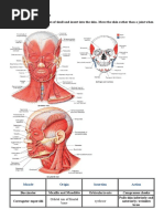 Muscles of Facial Expression