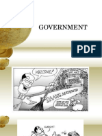 Chapter 1 Government and Governance