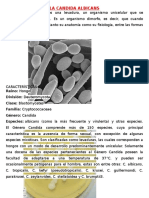 La Candida Albicans