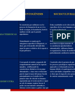 Cuadro Comparativo