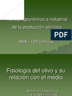 Fisiologia Del Olivo