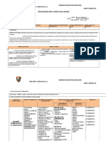 Programacion Curricular Anual 2014 2015