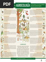 Agroecología - Infografía