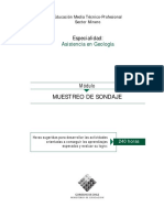 Muestreo de Sondaje PDF