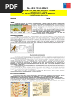 Guia Historia 7° 2.0 Finalizada