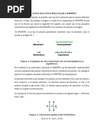 Polietileno de Ultra Alto Peso Molecular 