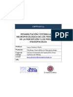 Rhb. y Est. Nps. Trastornos de La Percepción y Los Procesos Visoespaciales