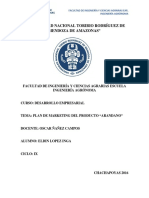 Plan de Marketing Arandano PDF