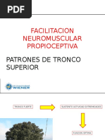 Clase 9-4 FNP Tronco Superior