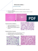 Mini Atlas Patologia Geral I