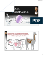 Sistema Digestivo PDF