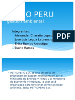 Sgi Petro Peru - Ii