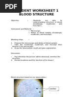 Student Worksheet 1 Blood Structure: Nucleus