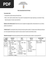 Practica Profesional Rubrica Evaluacion Informe PDF