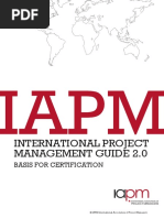 International Project Management Guide 2.0 (IAPM)