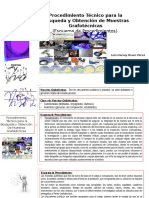 Procedimiento Tecnico para La Busqueda y Obtencion de Muestras Grafotecnicas Esquema