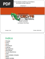 Trabajo Final de TICS