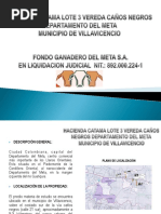 Brochure Hacienda Catama Lote 3 PDF