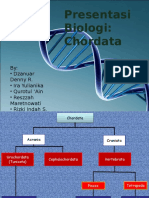 Chordata