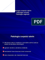 16.patologia Corpului Uterin, Vulvara, Vaginala-12