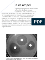 Cefalosporinas A Cromosómica Inducible