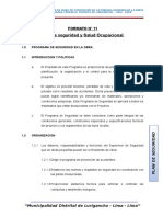 Formato N°11 Plan de Seguridad en Obra