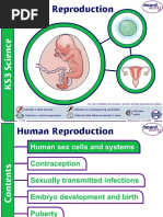 Human Reproduction