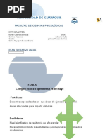 Matriz de Plan Operativo Anual 1 1