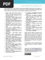 Los Derechos Asertivos PDF