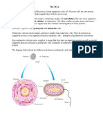 The Cell