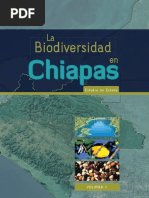 Chiapas Vol2 PDF